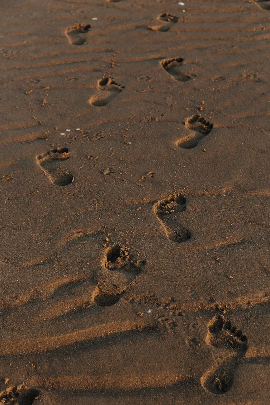 WHEN TO START: THE BALANCE BETWEEN READINESS AND&nbsp;ACTION